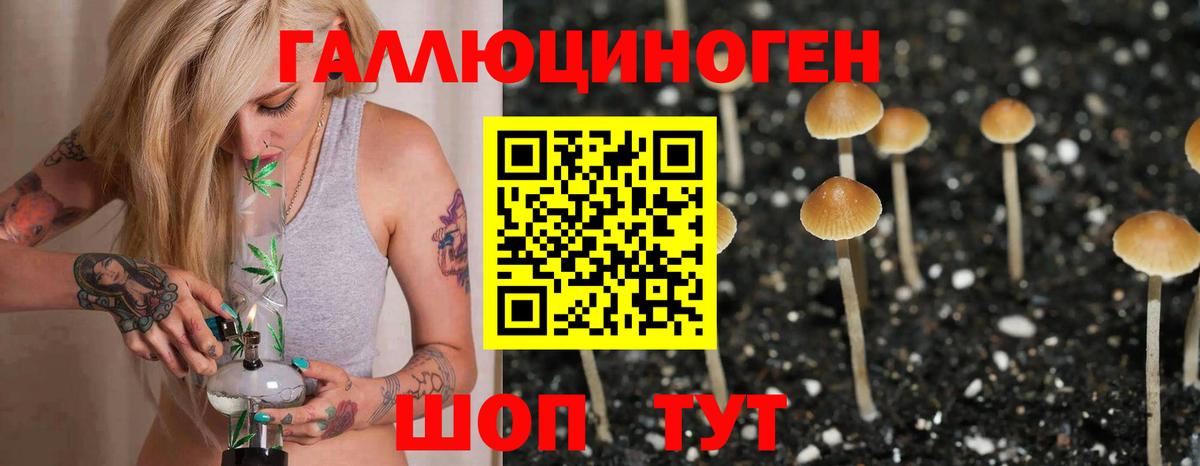 Краснознаменск  Галлюциногенные грибы MAGIC MUSHROOMS  Вход с VPN 