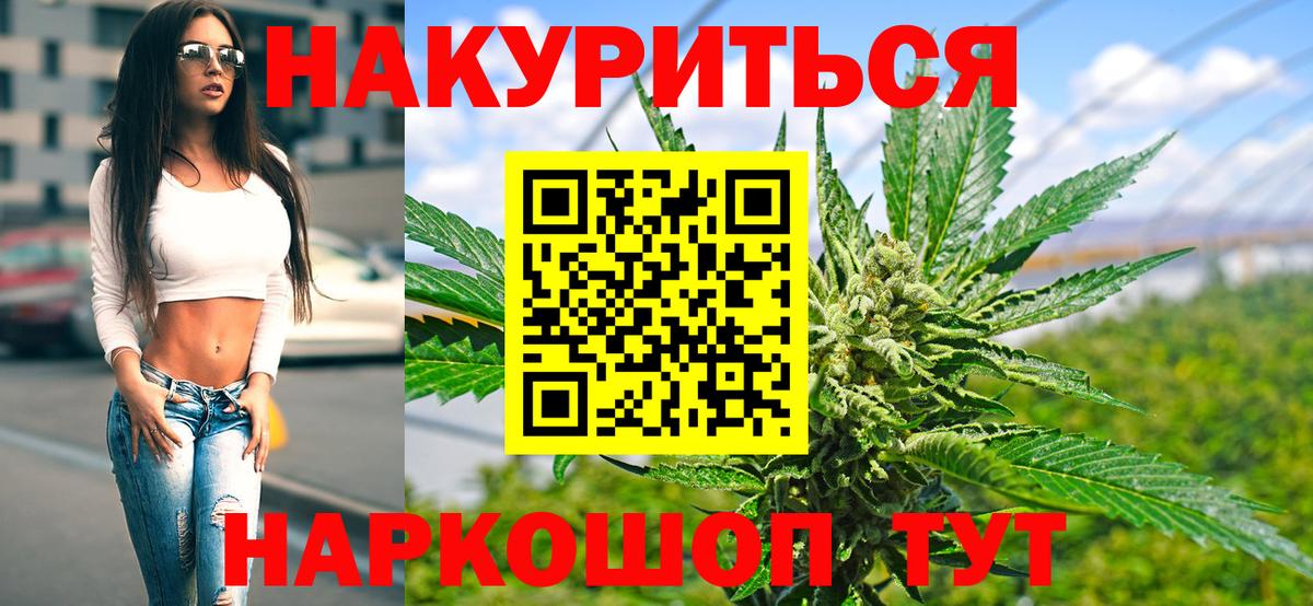 Бошки Шишки план  Конопля MAZAR  Конопля семена  Краснознаменск  Вход с VPN 